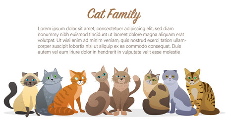 Wall Mural - Cute cartoon cats family staing together front view. Cat pet friend.