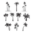 Palm trees silhouette collection, hand drawn doodle sketch, black and white vector illustration