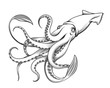 Giant Squid Engraving Illustration