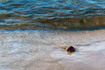 Sea wave and stones. Small stone on the sand. Sea coast with stones.