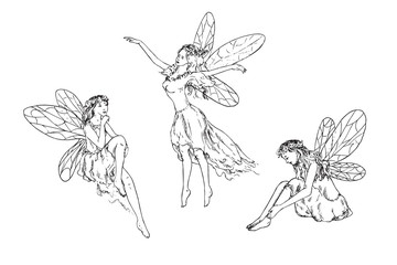 Beautiful three young fairies dancing, flying in wind and sitting around, hand drawn outline doodle sketch, black and white vector illustration