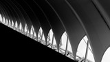 Fototapeta Perspektywa 3d - fabric tensile roof and steel structure - background