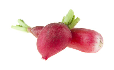 Canvas Print - radish isolated on white background