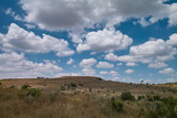 Fototapeta Sawanna - Flat hill landscape, cloudy summer sky