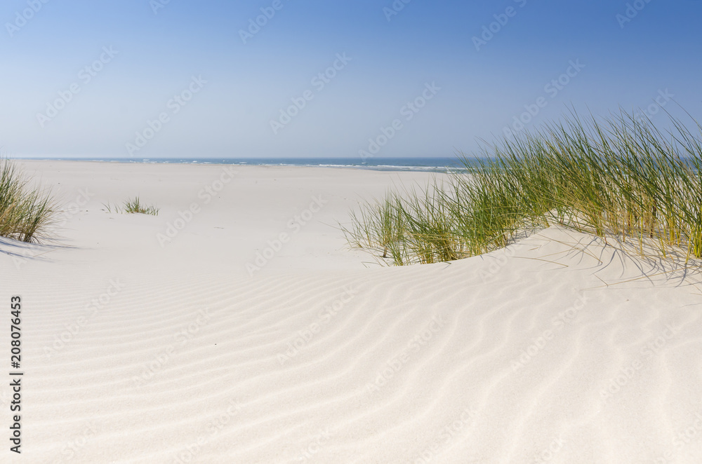 Dzika bałtycka plaża w Białogórze - obrazy, fototapety, plakaty 