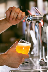 Wall Mural - Draught Beer. Closeup Pouring Fresh Beer In Glass