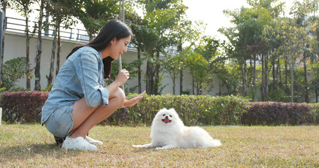 Poster - Woman playing with dog at outdoor park