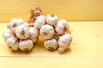 Closeup group of garilc head put on yellow wooden timber board,blurry light design background