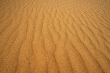  beautiful surface of sand dunes at sunset.