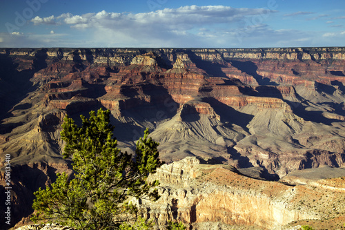 Fotografija  Warm Colors of Grand Canyon National Park, Arizona