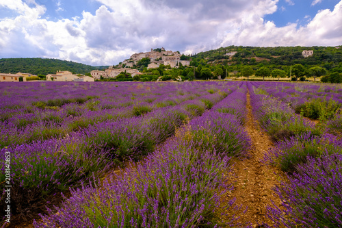 Simiane La Rotonde Alpes De Haute Provence Vue Panoramique Sur Le Village De Simiane La Rotonde Alpes De Haute Provence France Champ De Lavande Au Premier Plan Buy This Stock Photo And Explore Similar Images At Adobe Stock