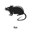 © vectorstockcompany - Rat icon vector sign and symbol isolated on white background, Rat logo concept