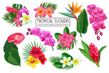 pink-tropical-flowers-free-stock-photo-public-domain-pictures