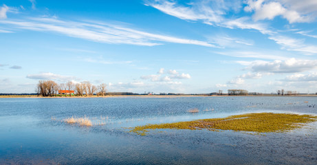 Wall Mural - Partially flooded Noordwaard polder in the Netherlands