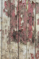 Wall Mural - Old wooden background with remains of pieces of scraps of old paint on wood