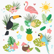 Cartoon Vector Set Of Exotic Tropical Illustrations. Background, Wallpaper, Texture, Backdrop. Leaves, Plants, Birds.Template For Printing, T-shirts, Postcards, Clothes, Textiles