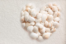 shells-heart-free-stock-photo-public-domain-pictures