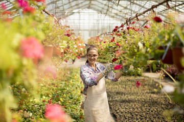 Wall Mural - Young woman working with spring flowers in the greenhouse