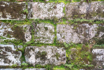 Wall Mural - Close-up photo of an old dilapidated stone wall with sprouted green moss