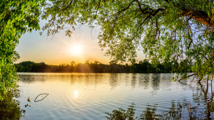 lake with trees at sunset on a beautiful summer evening