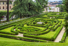 View At Vatican Gardens With Beautiful Green Lawns And Trees, Landscaping, Rome, Italy.
