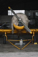 Airplane In Hangar