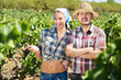 © JackF - Gardeners together in grapes tree yard