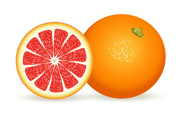 Sticker - Fresh grapefruit in realistic style. illustration isolated on white background.