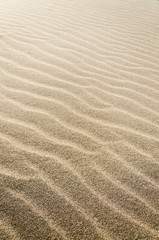  Wavy sand texture