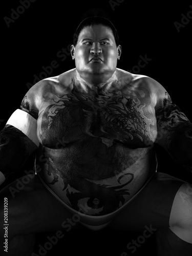 Fototapety Sumo  ilustracja-3d-japonskie-sumo