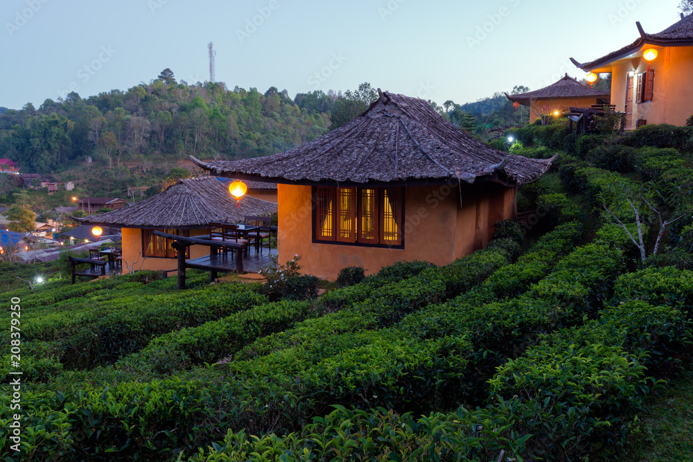 Tea Plantation and hut in Ban Rak Thai. Mae Hong Son, Thailand. Stock ...