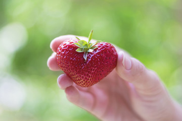 Wall Mural - .Strawberry in the form of heart. The concept of love of fruit