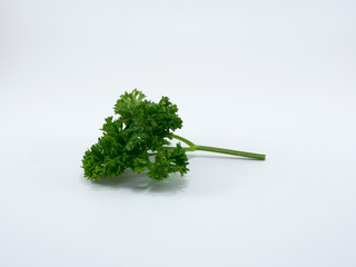 Parsley isolated on white background.