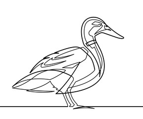 Wall Mural - Duck Continuous Line Vector Illustration