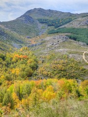 Wall Mural - Paisaje campos en otoño en Valverde de los Arroyos en Guadalajara (Castilla La Mancha,España)