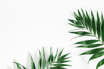 Tropical palm leaves on white background. Summer concept. Flat lay, top view, copy space