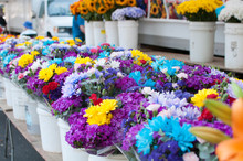 Flowers For Sale In A Farmers Market
