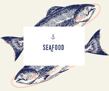Seafood Banner Set. Hand Drawn Tuna Fish. Vector Restaurant Menu. Marine Food Banner, Flyer Design. Engraved Isolated Art. Delicious Cuisine Objects. Use For Promotion, Market, Store Banner.
