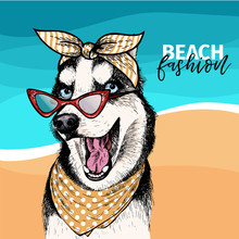 Vector Portrait Of Siberian Husky Dog Wearing Sunglasses And Retro Bandana. Summer Fashion Illustration. Sea, Beach, Ocean. Hand Drawn Pet Portait. Poster, Shirt Print, Holiday, Postcard, Summertime