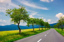 Row Of Trees Along The Country Road In To The Distant Mountains. Beautiful Summer Landscape With Stunning Cloudscape. Travel By Car Concept. Realistic Motion Blur Effect On The Left Side