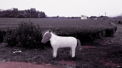 Wooden horse in the field