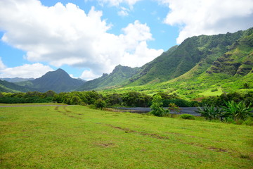 Wall Mural - kualoa ranch