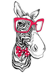 Wall Mural - Zebra portrait in a polka-dot tie with a red glasses. Vector illustration.