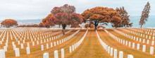 Open Air Classic American Cemetery In Autumn Season