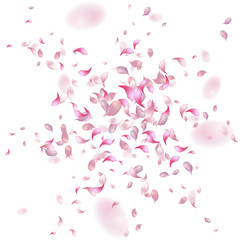 Wall Mural - Petals Flying Background