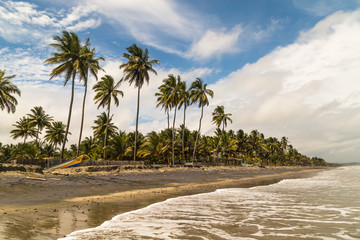 Wall Mural - Beautiful beaches, Cojimies Ecuador