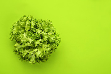 Green vegetables flat lay concept. lettuce salad on green background, top view with empty space for text.