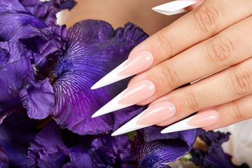 Wall Mural - Hand with long artificial french manicured nails and a purple Iris flower