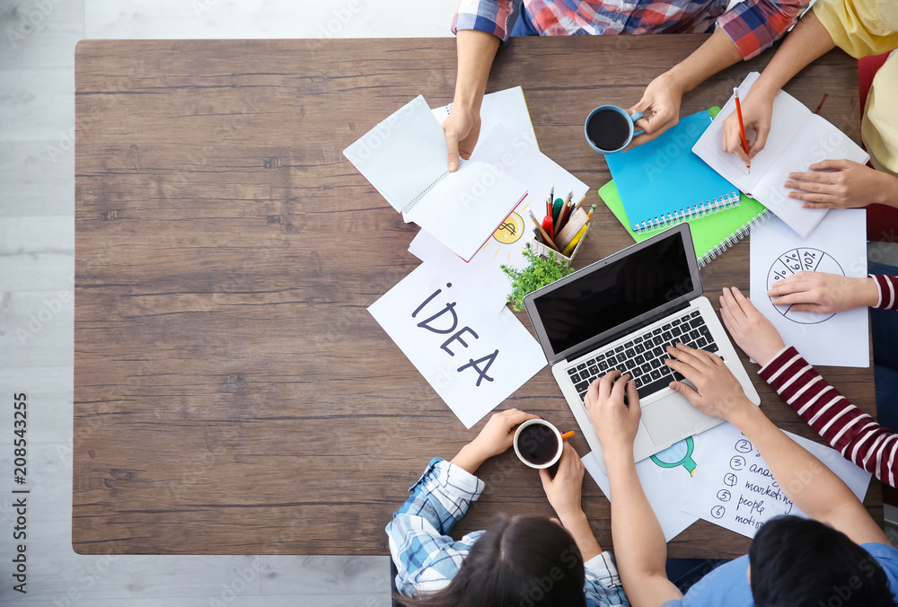 Young team working with marketing plan in office