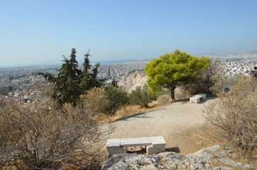 Poster - pine landscape mountaines athens panorama